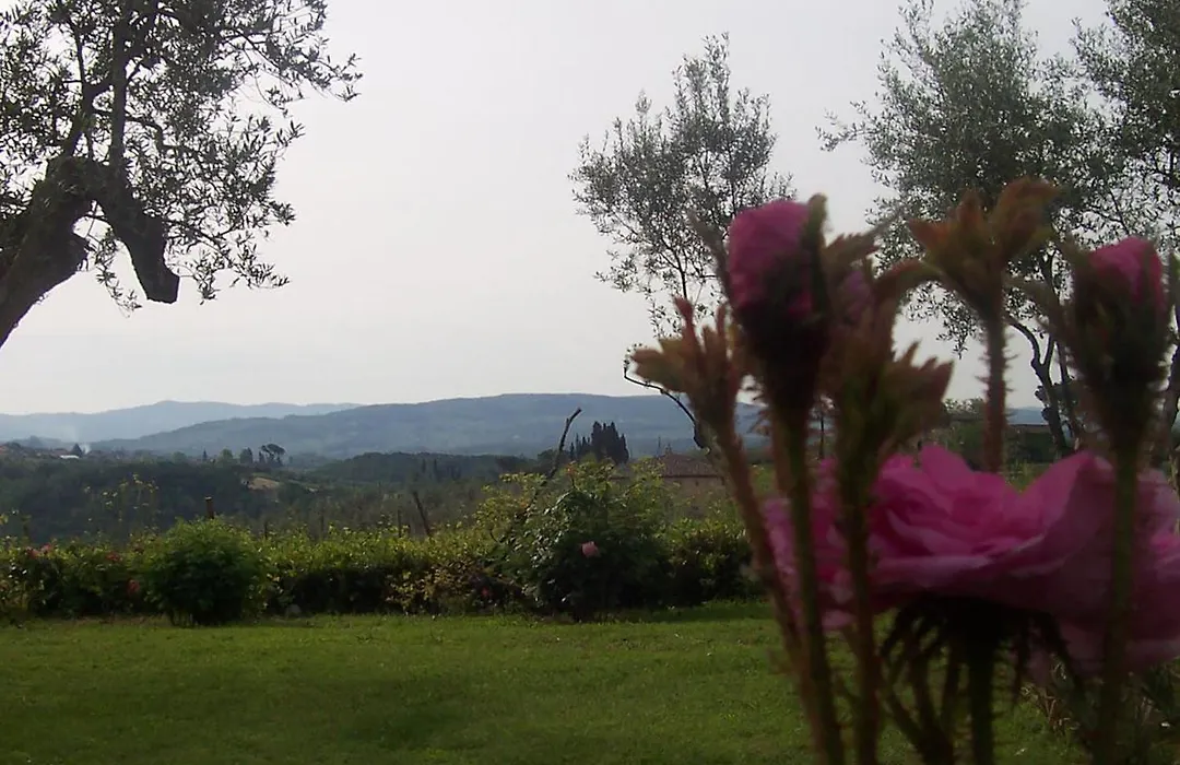 Villa Vanessa-1